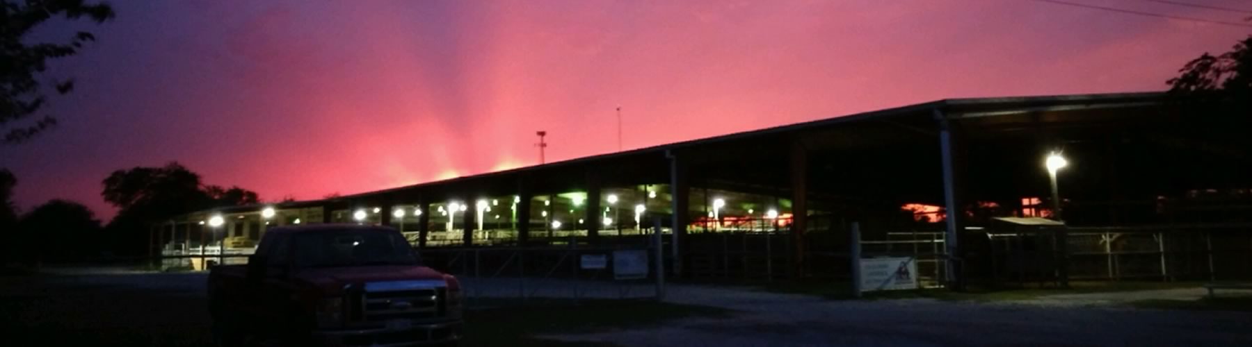 Gulf Coast Livestock Auction, LLC Livestock Market Alice Texas